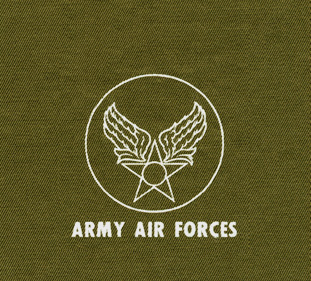 AAF INSIGNIA_outline form