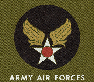 AAF INSIGNIA_full color