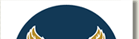 AAF INSIGNIA_full color