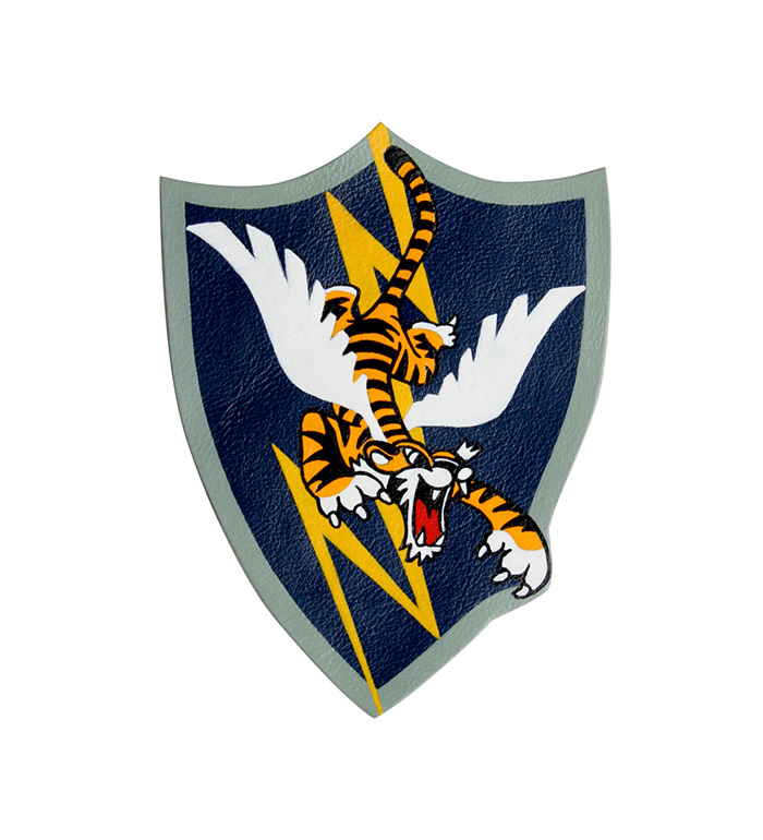 AAF Squadron Patch, Hand Painted, 74th Fighter