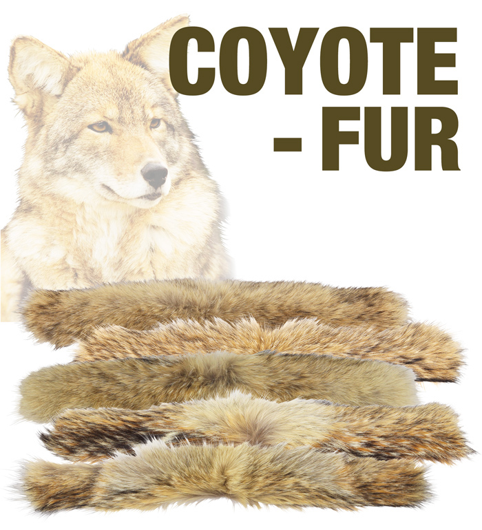 Coyote Fur for Replacement of Flight Jacket Hood Trimming, North American Made