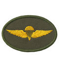 Para Wing Patch