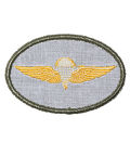 Para Wing Patch Back