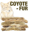 North American Coyote Fur