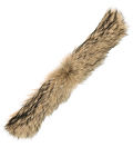 Coyote Fur at Surface side