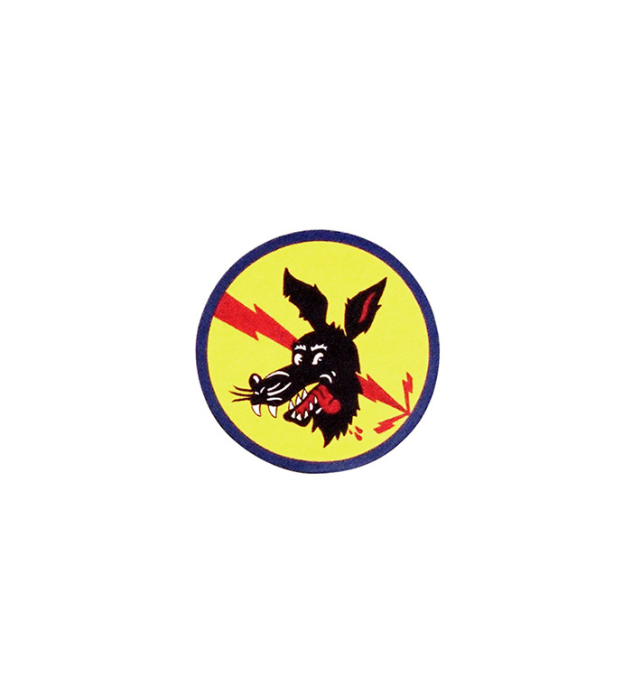 AAF Squadron Patch, Hand Painted, 364th Bombardment