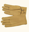PARA Gloves