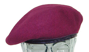 US ARMY �ޥ롼��٥졼/��ʪ��̤����