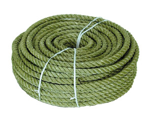 US ���� OD ��ڥ�󥰥�����