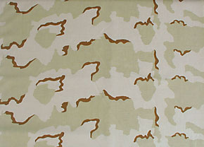 US(�Ʒ�) �����ǥ��ʥ�����3C�ǥ����ȥ������ϡ�1,000D���ʡ�/����