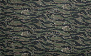 US������������������/����