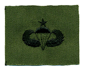 US ARMY(Φ) ˥ѥ饷塼Ⱦ/ɽ/֥ǥ塼/