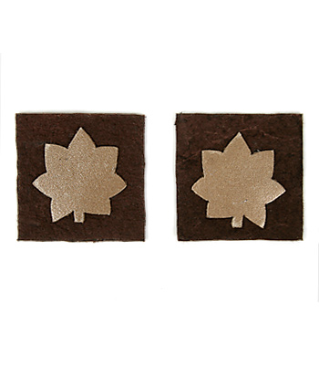 INSIGNIA-Leather, Maj