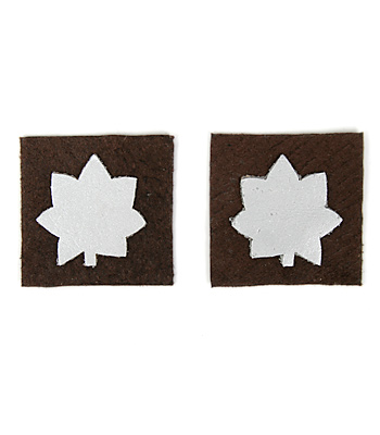 INSIGNIA-Leather, Lt Col