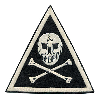 AAF SQD ѥå31st Bombardment