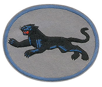 AAF SQD ѥå35th Fighter