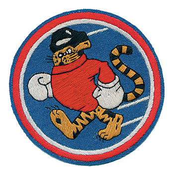 AAF SQD �ѥå���53rd Fighter