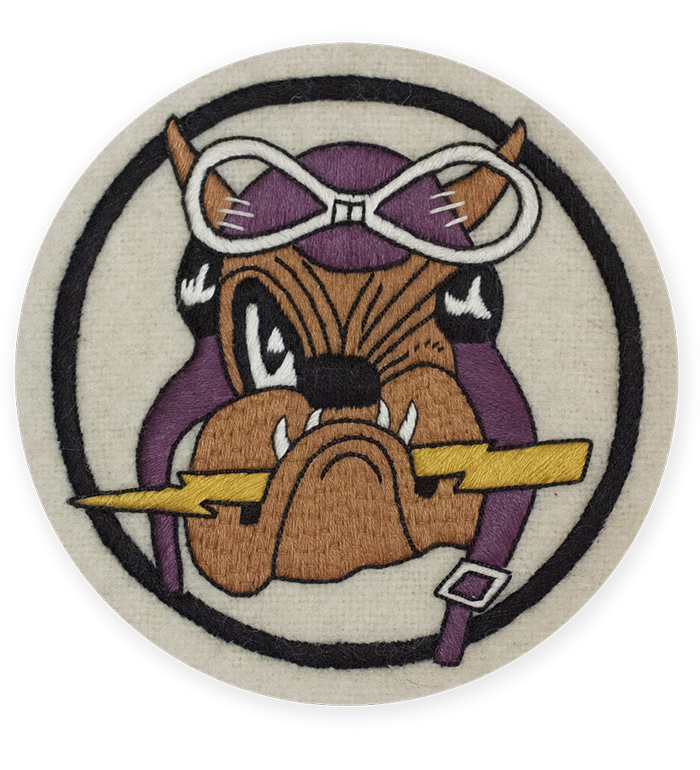 AAF SQD �ѥå���61st Fighter