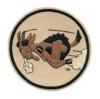 AAF SQD ѥå81st Bombardment