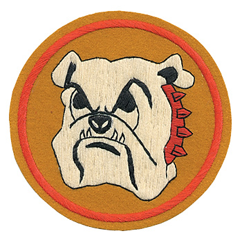 AAF SQD �ѥå���313th Fighter