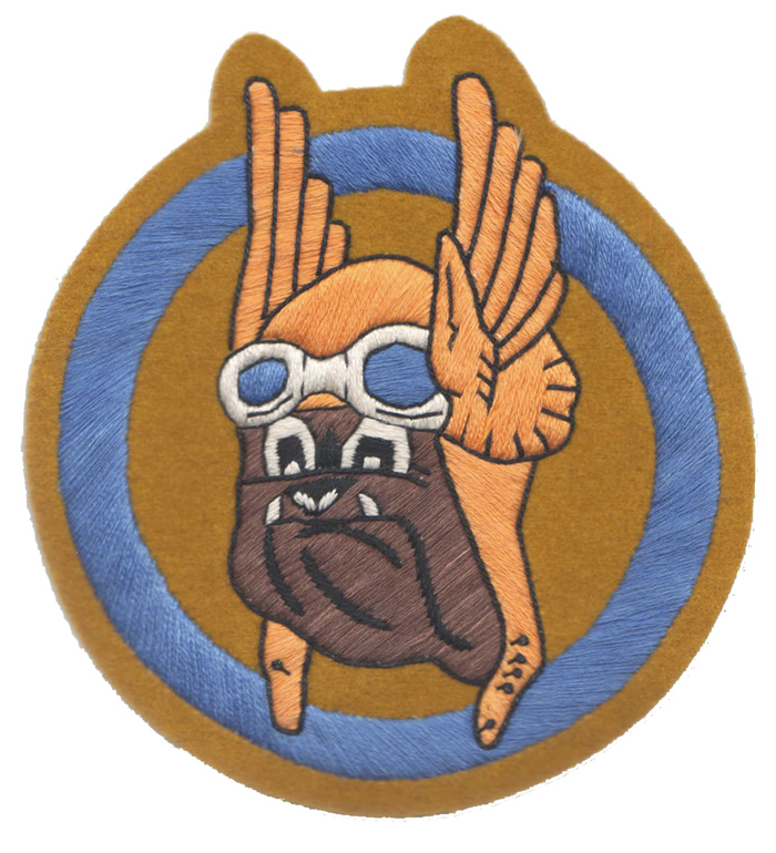 AAF SQD �ѥå���355th Fighter