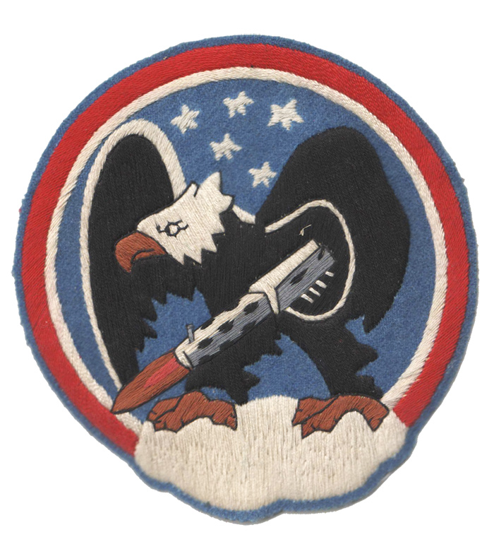 AAF SQD ѥå487th Fighter