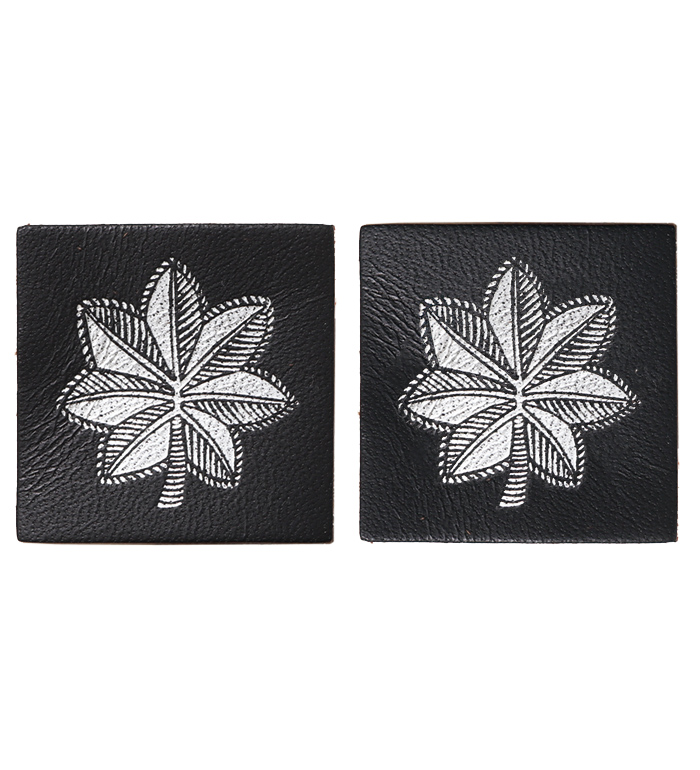 USAF(40ǯ - 50ǯƬ) Rank(), LT. COL(溴), ϳ-󲡤/M.O.C.