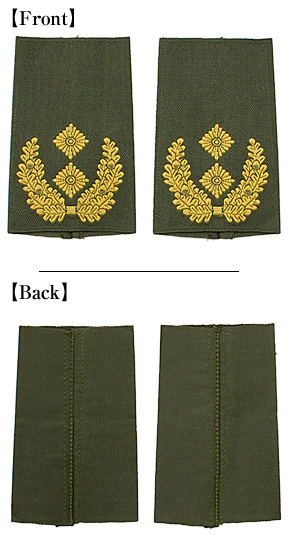 �ɥ��� BW(Ϣˮ��) �������ϡ�����(Gen.Major)/OD������/�ڥ�/��ʪ��̤����