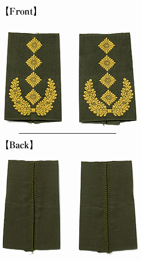 �ɥ��� BW(Ϣˮ��) �������ϡ��羭(Gen.)/OD������/�ڥ�/��ʪ��̤����