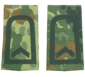 �ɥ��� BW(Ϣˮ��) ���δ��Ѹ��ϡ�����(FW)/�ե쥯����������١���/�ڥ�/��ʪ��̤����