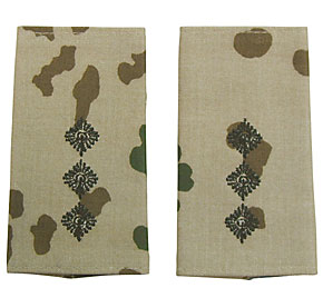 �ɥ��� BW(Ϣˮ��) �����Ѹ��ϡ����(HM)/�ȥ��ԥ���(�ǥ�����)�ե쥯����������١���/�ڥ�/��ʪ��̤����