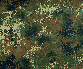 �ɥ��� BW(Ϣˮ��) �ե�å���������/����ĥ���/����