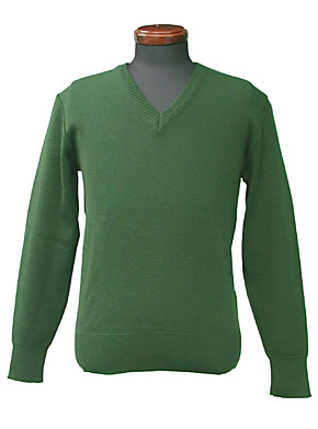 ɥ BGS (Ϣˮ񶭷)꡼󡦥/V-ͥå/ʪ̤