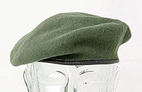 ɥ BGS(Ϣˮ񶭷) ꡼󡦥٥졼/˹̵/ʪɤξ