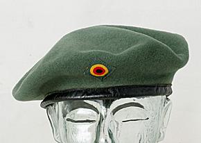 ɥ BGS(Ϣˮ񶭷) ξ롼ѥ٥졼/쥫顼/Ǿ/ʪ˾