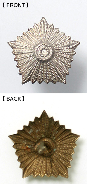 ��ɥ��� NVA(��̱��) ���������ѥ���С��ԥ�/�̾���/��ʪ��̤����