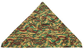 フランス軍/外人部隊 50-60s リザードカモ・ポンチョ(WWIIドイツ軍型