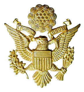 US WWII ARMY/AAF(Φ��/Φ���Ҷ���) ����˹��/��˹�� �᥿����