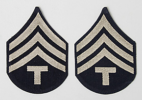 US(Φ) WWII ѷ(4th Grade)֥//ڥ/ʪ̤