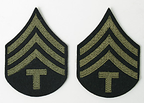 US(Φ) WWII ѷ(4th Grade)֥/ɽ(ե)/ڥ/ʪ̤