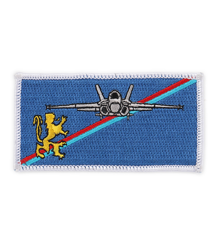 U.S.NAVY �������ɥ���ѥå�/LION/�͡��ॿ��