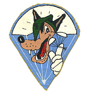 USMC WWII SQ ѥå(Х)/3rd PARA-BN