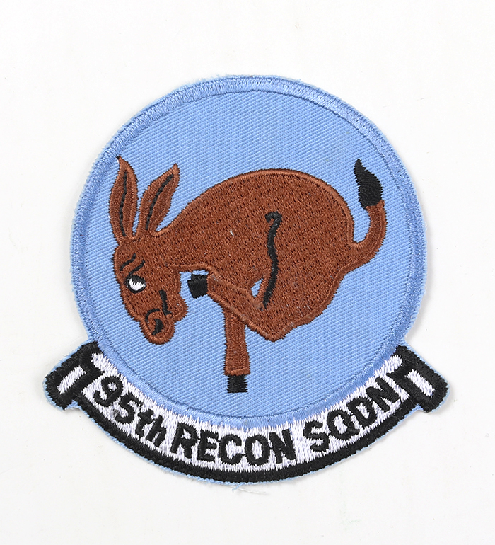 USAF �������ɥ���ѥå�/95TH RECON SQDN