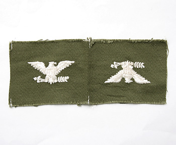 US ARMY(��Φ��) NAM���� �����/�纴( Col.)/�ե륫�顼�ɽ�����/�ڥ�/��ʪ��̤����