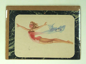 US �ԥ󡦥ʥåץ���A. VARGAS, Air Plane