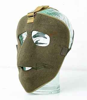 US WWII AAF(��Φ���Ҷ���) TYPE D-1 �ɴ��ե��������ޥ���/��ʪ���ɤξ�