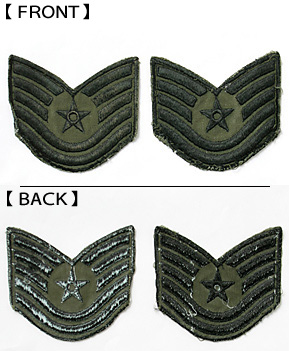 USAF(�ƶ���) NAM�� ��������(TSG)�����֥���/�ɽ�������(��������ᥤ��)/�ڥ�/��ʪ���˾�