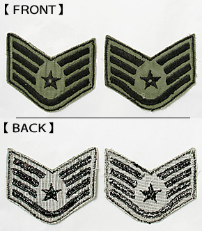 USAF(�ƶ���) NAM�� ��������(SSG)�����֥���/�ɽ�������(��������ᥤ��)/�ڥ�/��ʪ���˾�