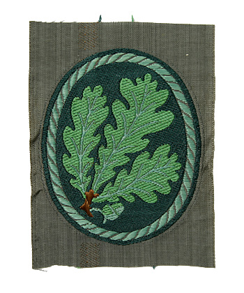 WWII �ɥ���Φ��(WH) ��ʼ��BEVO�����ǥ�磻����/��ʪ��̤����