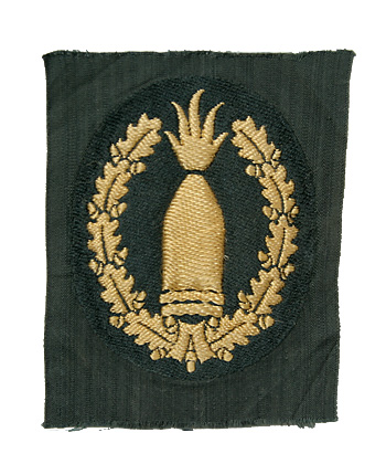 WWII �ɥ���Φ��(WH) ˤʼ�Ƚ�ꡢBEVO���翦��/��ʪ��̤����